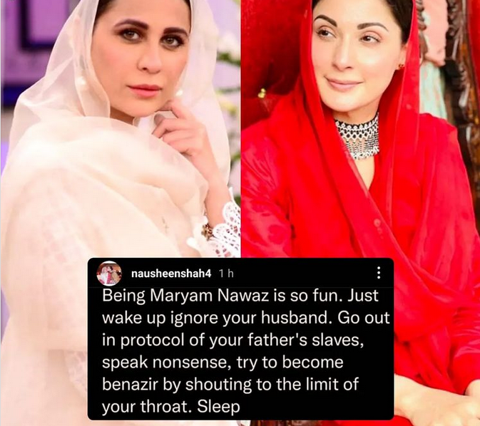 Nausheen Shah roasted Maryam Nawaz