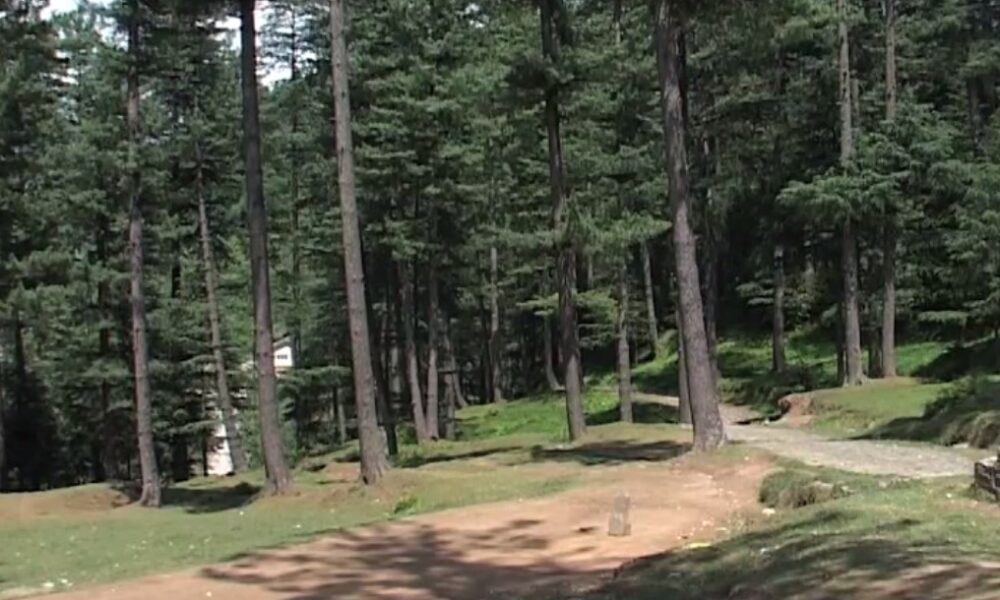 Forests got fire in Azad Kashmir