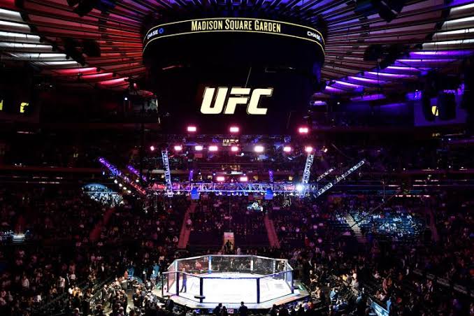 What can we expect from the next UFC event?