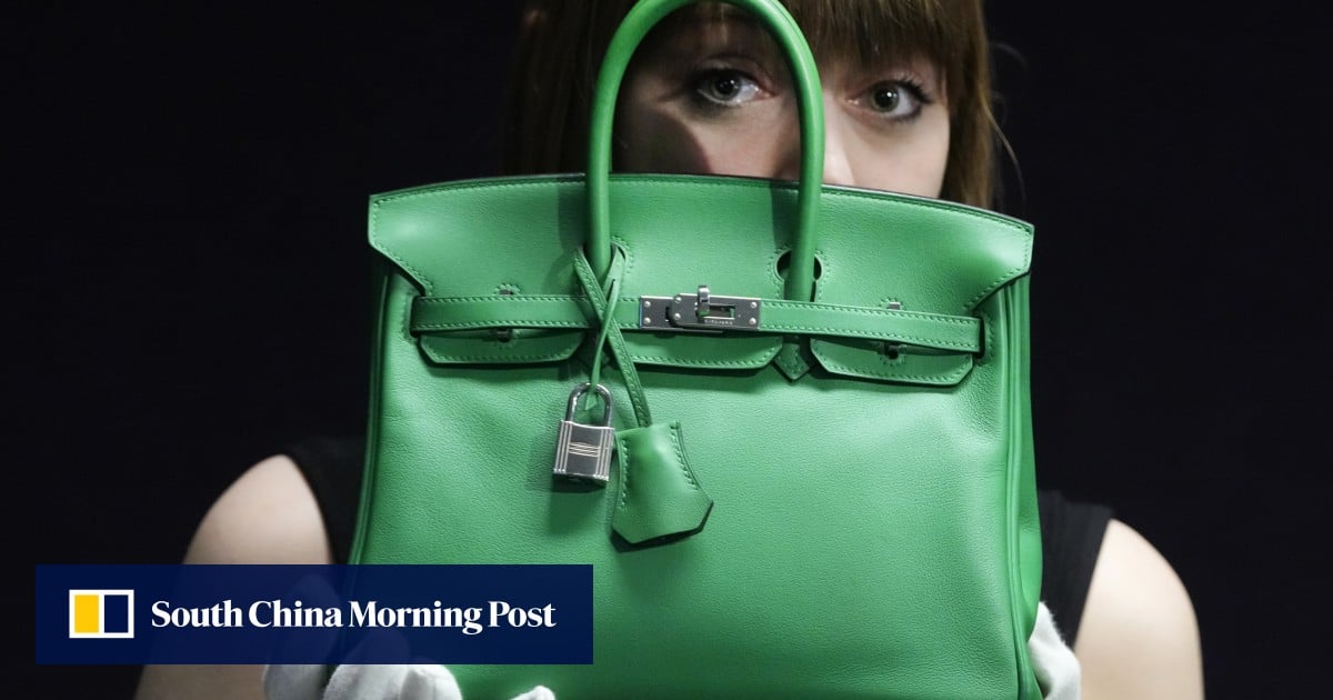Hermes makes coveted Birkin bags too hard to buy, US shoppers say in lawsuit