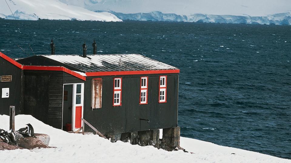 Penguin counters wanted at remote post in Antarctica: ‘Training will be provided’ for ‘varied tasks’