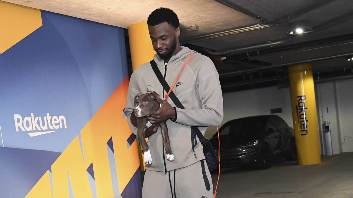 Watch Warriors players arrive to game with adorable, adoptable pups