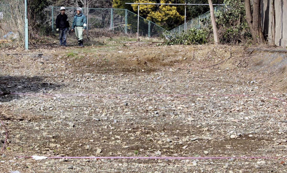 A mysterious pile of bones could hide evidence of Japanese war crimes, activists say