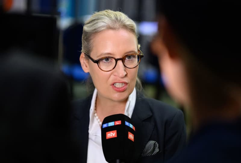 AfD forms new group in European Parliament