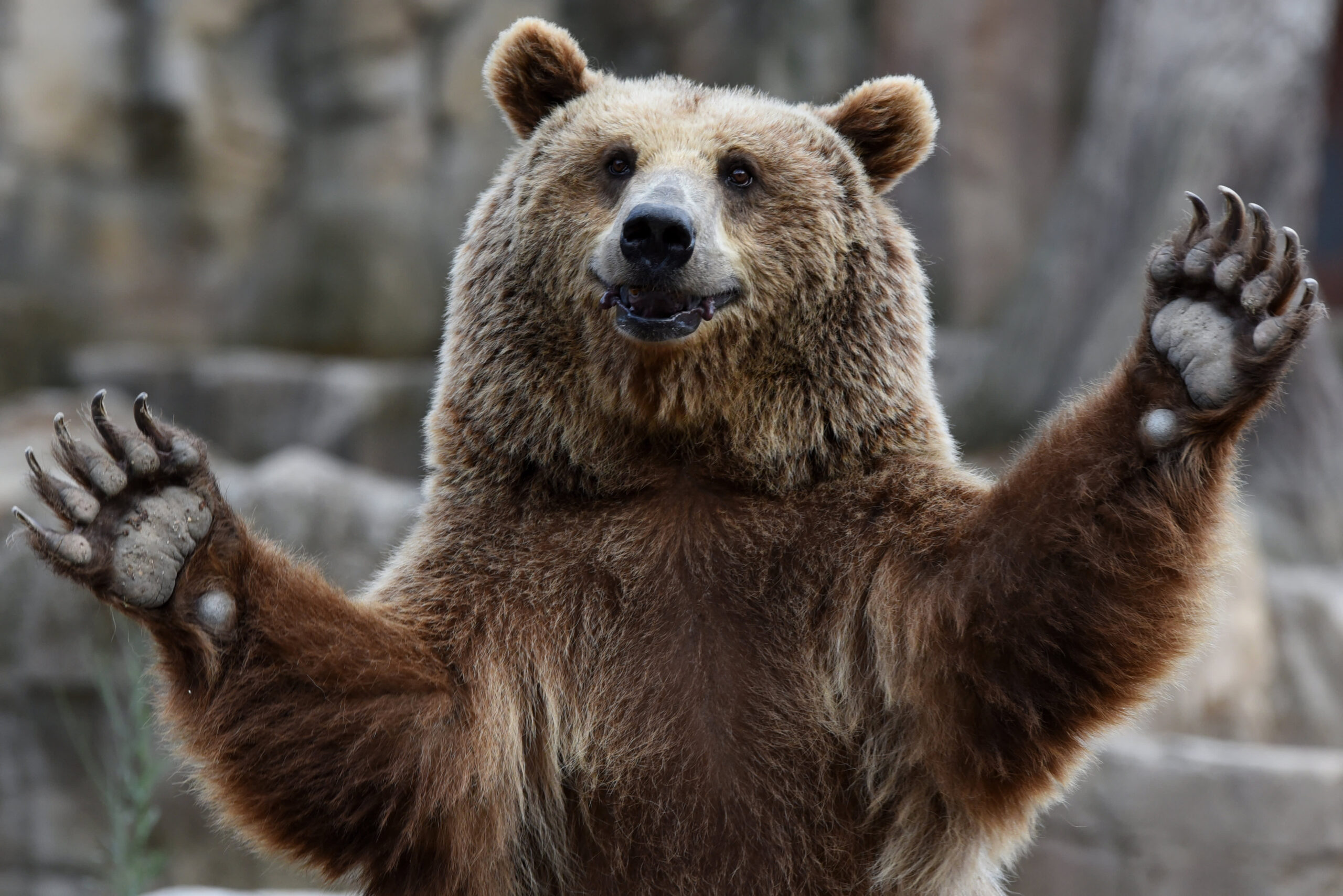 Bank of America strategist says it’s time to get bearish