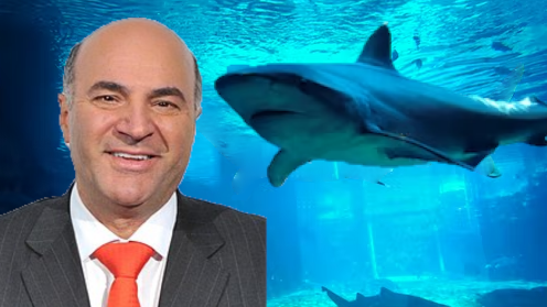 “Bashing The Rich Is Not What America’s About,” Kevin O’Leary Says of Increasing Taxes For The Wealthy