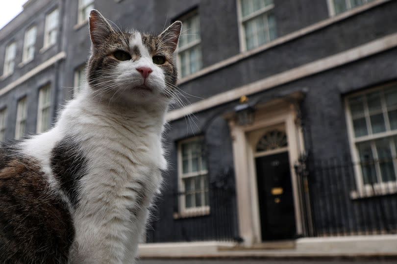 Ben Shephard sparks fury with Larry the Cat announcement as fuming co-star hits out