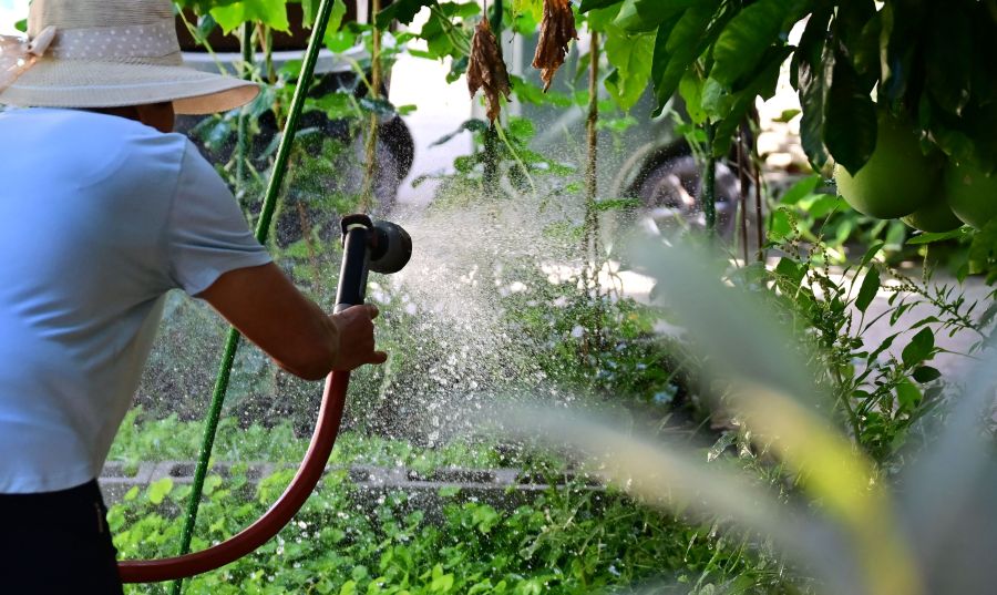 California to impose permanent water restrictions on cities and towns