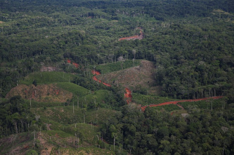 Colombia deforestation fell to historic low last year