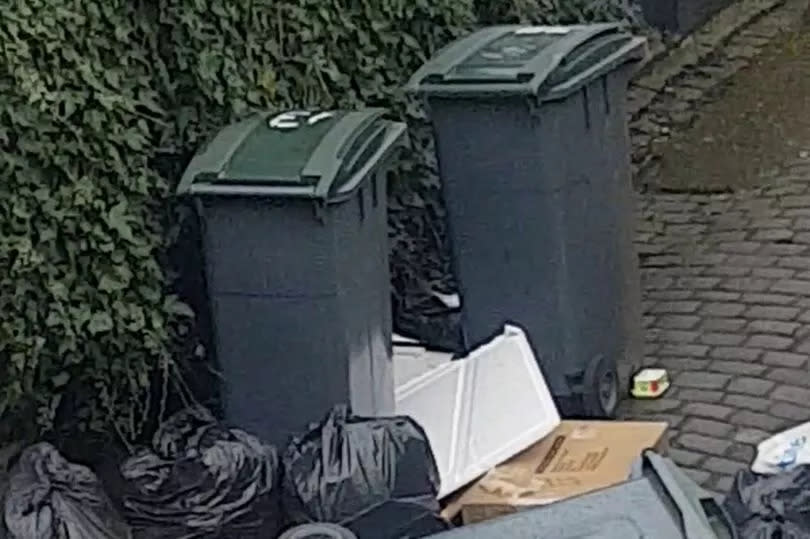 Couple fined £1,200 for cleaning up rubbish outside their home