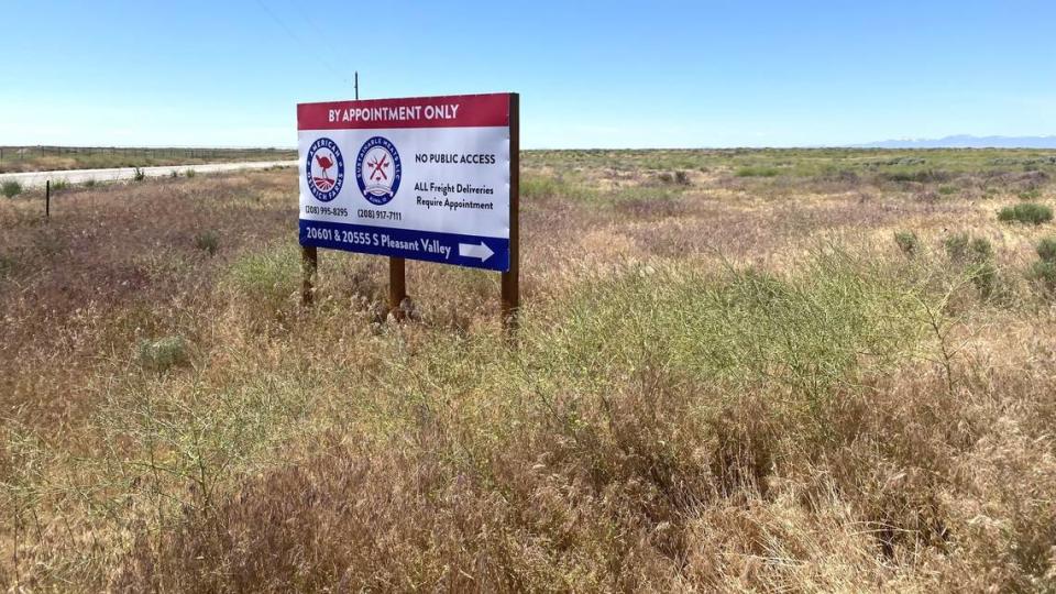 Ex-workers say ostriches die ‘in huge numbers’ at farm south of Boise. What the owner says