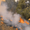 Firefighters Work to Stop California’s Massive Park Fire From Crossing Hwy 32