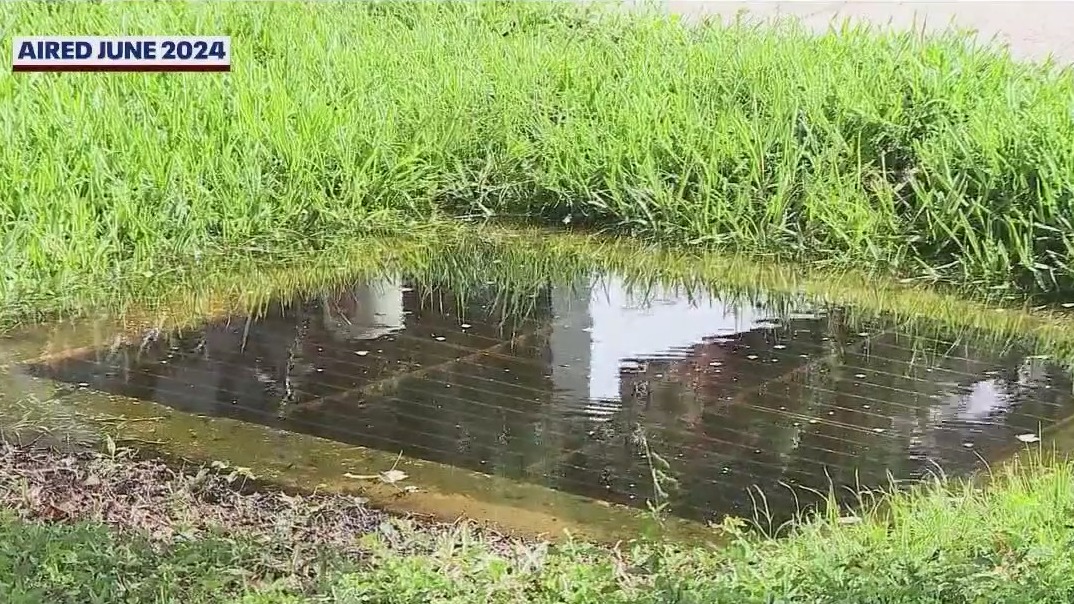 Florida woman faces lawsuit, code violation after filling storm drain with concrete, court records show