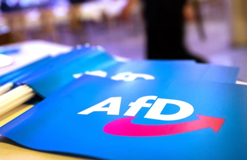 German court rules that members of far-right AfD cannot own firearms