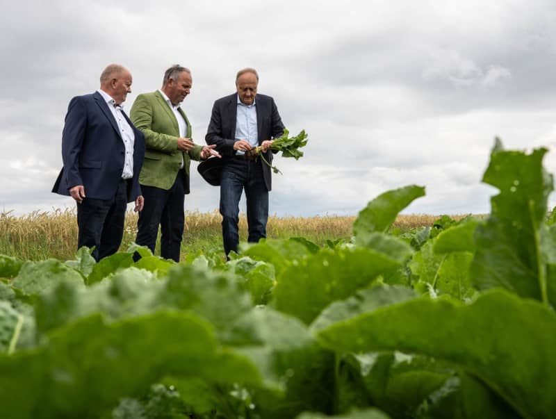 German farmers’ association sees heavy rains hitting harvests