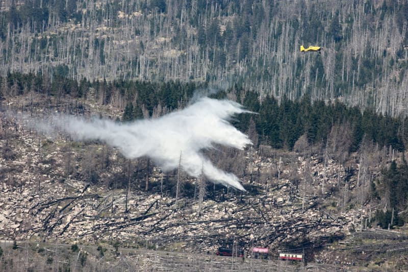 German forest fires burn equivalent of 1,771 football pitches in 2023