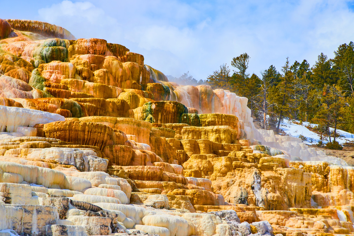 ‘Heroic’ Yellowstone Park Rangers Likely Saved Lives During Wild 4th of July Shootout