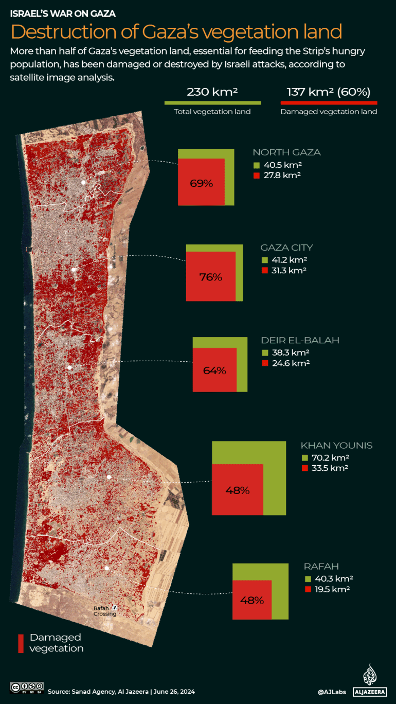 How Israel destroyed Gaza’s ability to feed itself