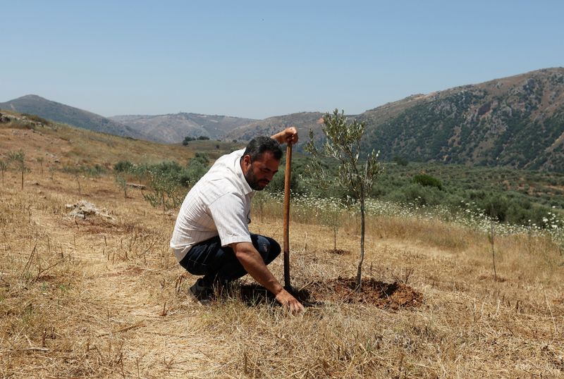 Lebanese farmers dig for answers on Israel’s white phosphorus use