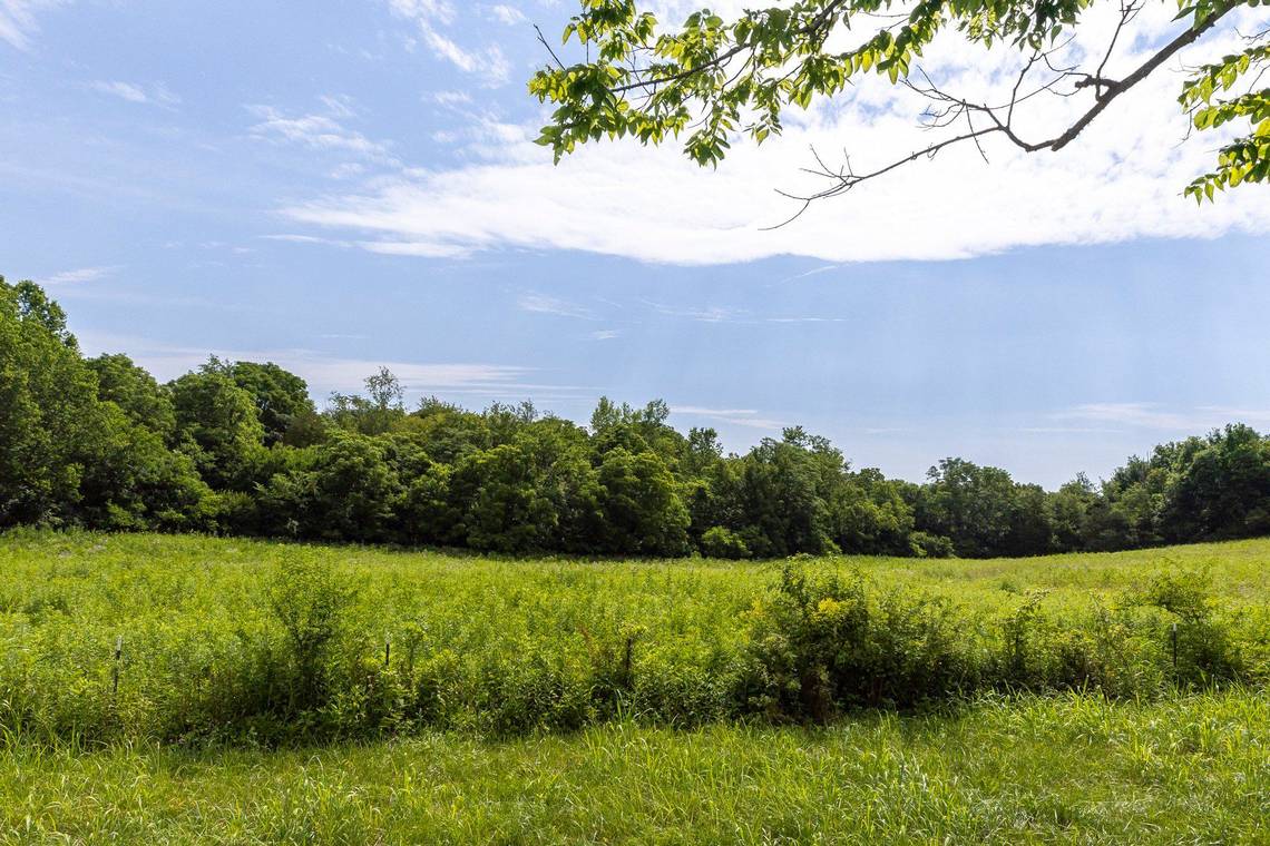 Lexington rejects bid to subdivide large farm on Tates Creek Road. ‘We can do better’