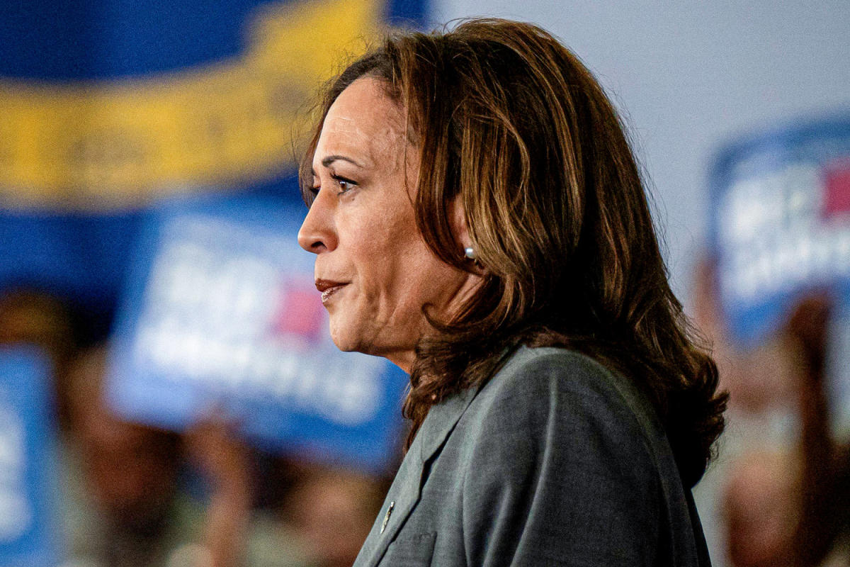 ‘Ludicrous’: Donors leave call with Kamala Harris frustrated and annoyed