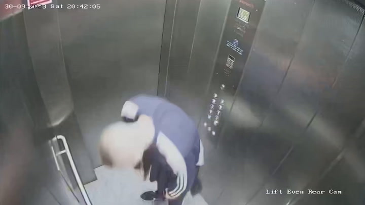 Man banned from having dogs after CCTV caught what he did n lift