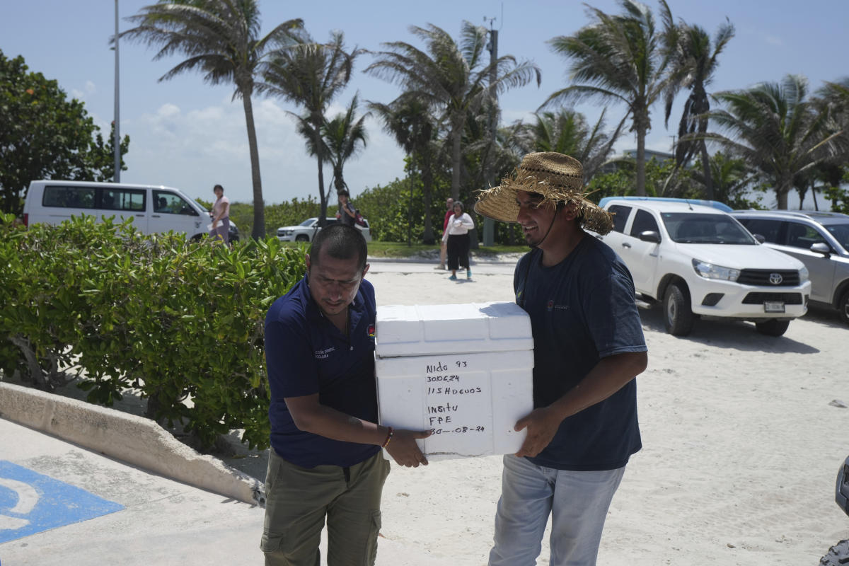 Mexico evacuates even sea turtle eggs from beaches as Hurricane Beryl approaches