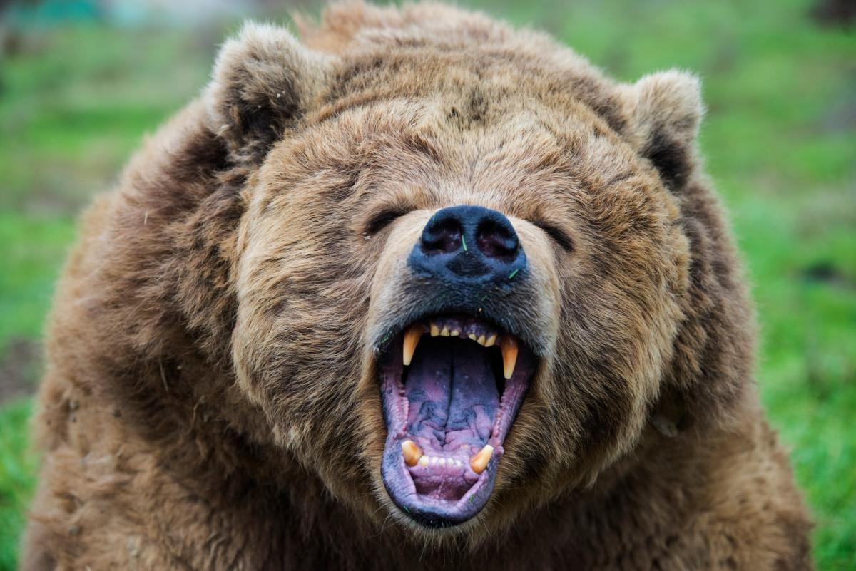 On Wall Street bearish investors are out of favor—but there’s mounting evidence they are right about the stock market outlook