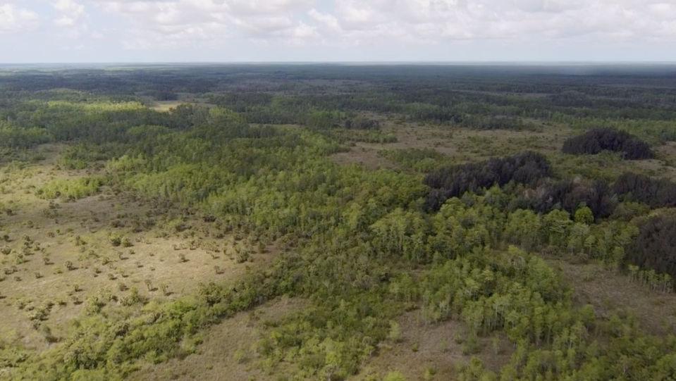 Powerful Florida family sold DeSantis administration toxic land, lawsuit alleges