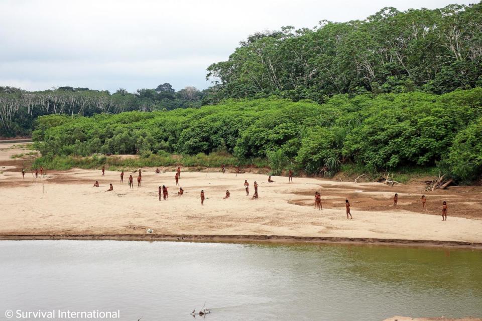 Rare pictures released of uncontacted Amazon rainforest tribe in Peru emerging near logging site