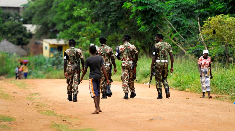 Ravaged by civil war, how a national park was restored in Mozambique