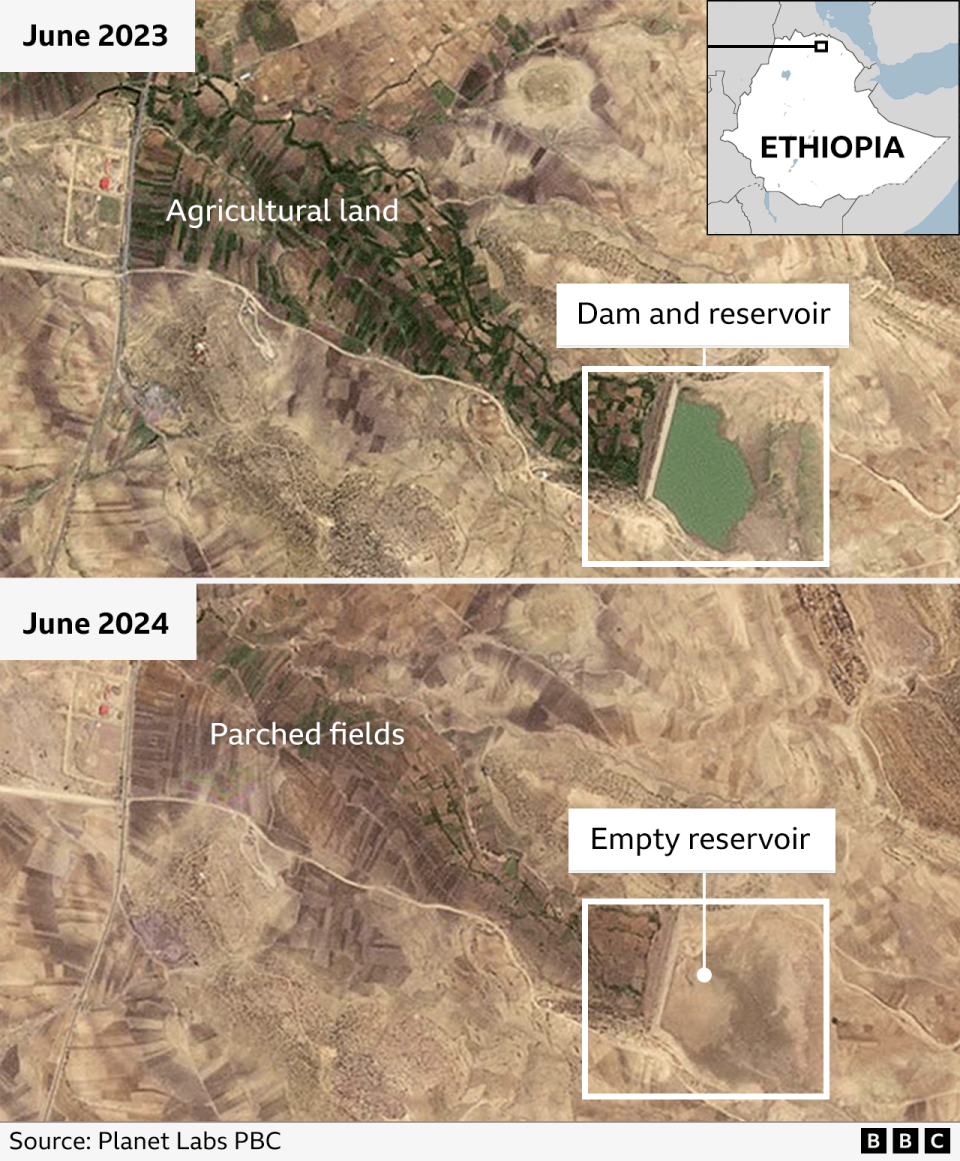 Satellite images and doctor testimony reveal Tigray hunger crisis