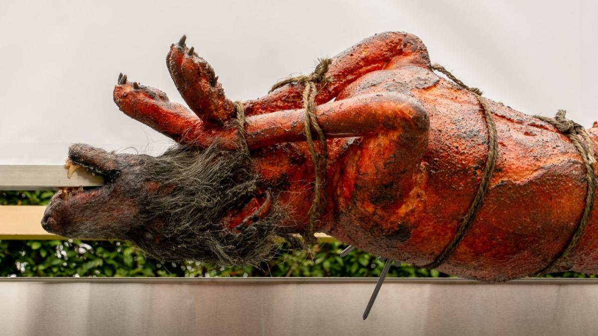 Shocking animal protest of ‘dog roast’ stuns Henley Royal Regatta attendees