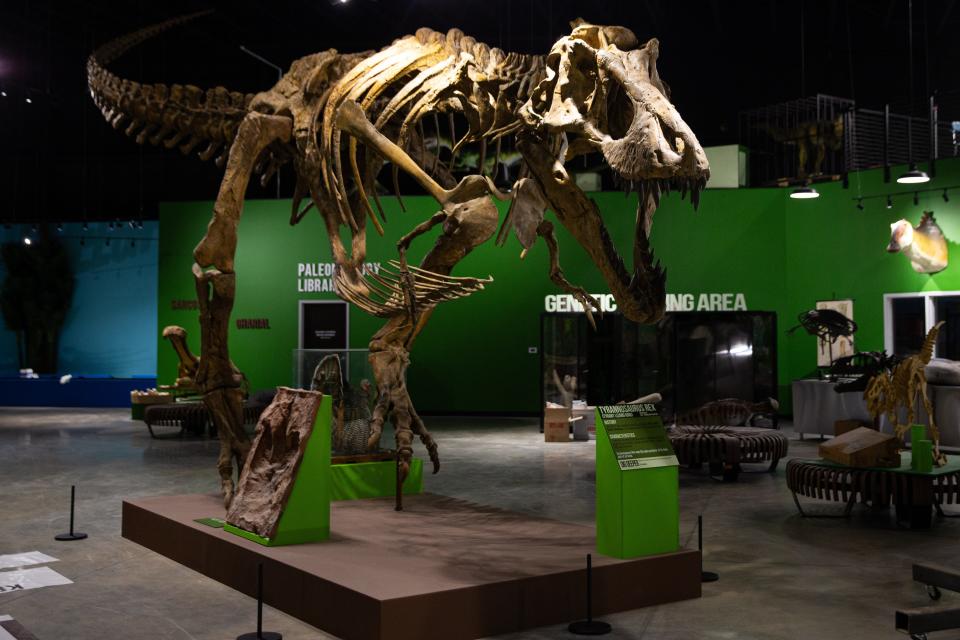 There’s a new dinosaur museum within 90 minutes of Holland