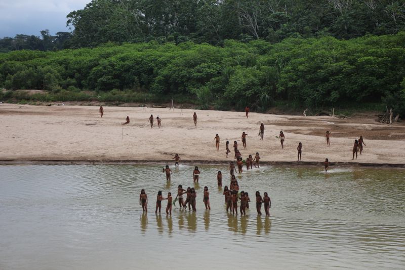 Uncontacted tribe sighted in Peruvian Amazon where loggers are active