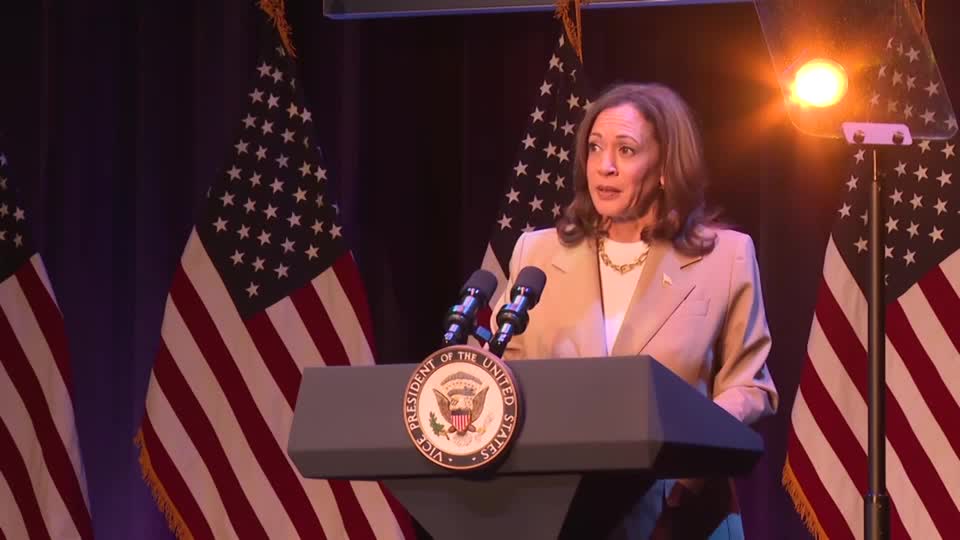 ‘We’re the underdogs’ Kamala Harris tells her supporters