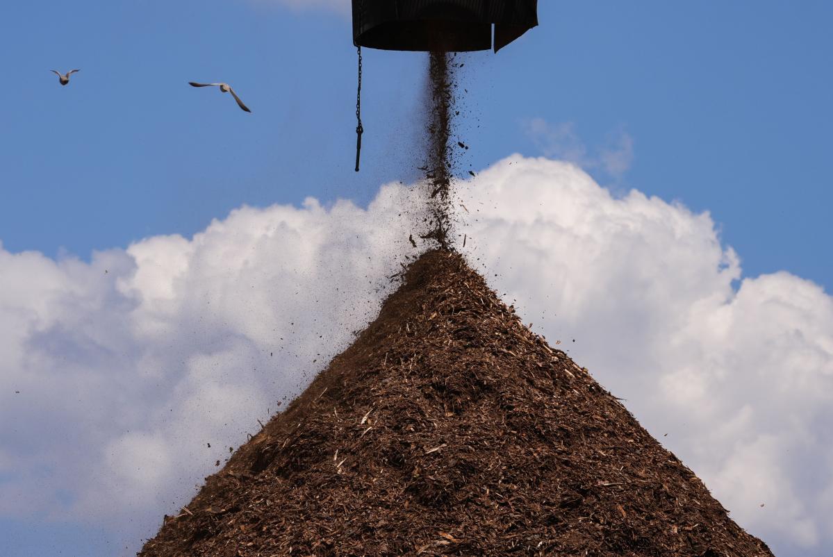 Wood pellets production boomed to feed EU demand. But it’s come at a cost for Blacks in the South