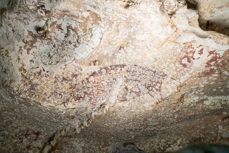 World’s oldest cave painting in Indonesia shows a pig and people