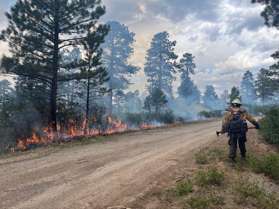 Bucktail Fire update; Blaze grows over 7,000 acres as crews continue interior burning to reduce understory vegetation