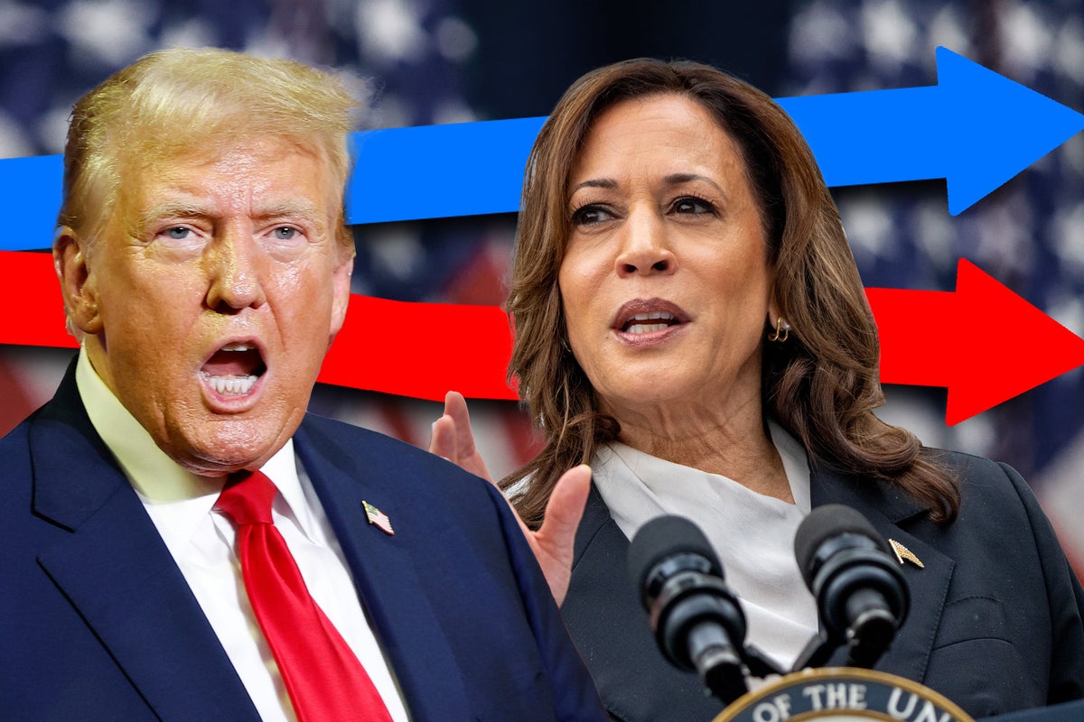 Can Kamala Harris beat Donald Trump in battleground states? Latest poll updates