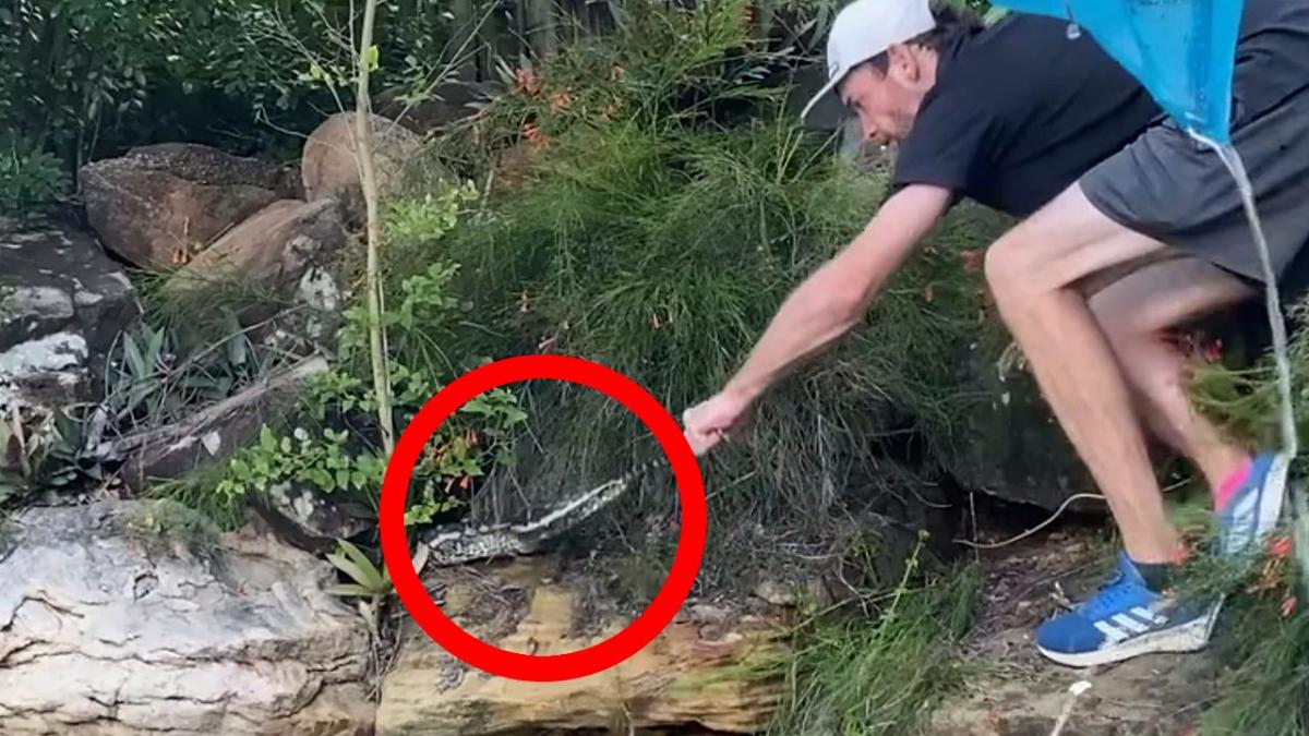 Dad pays hilarious price for not hiring professional snake catcher