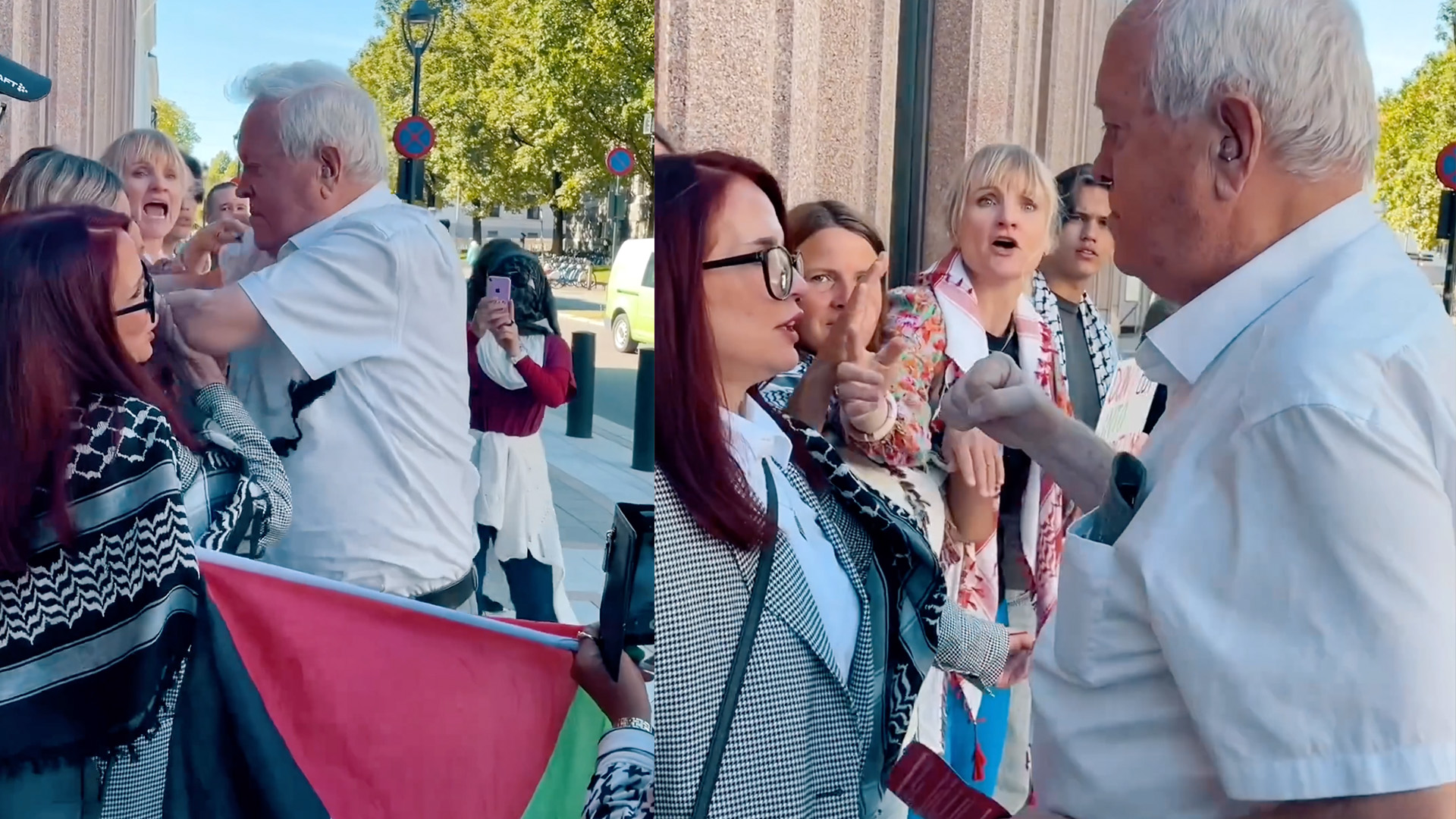 Elderly man punches pro-Palestine demonstrator in Norway