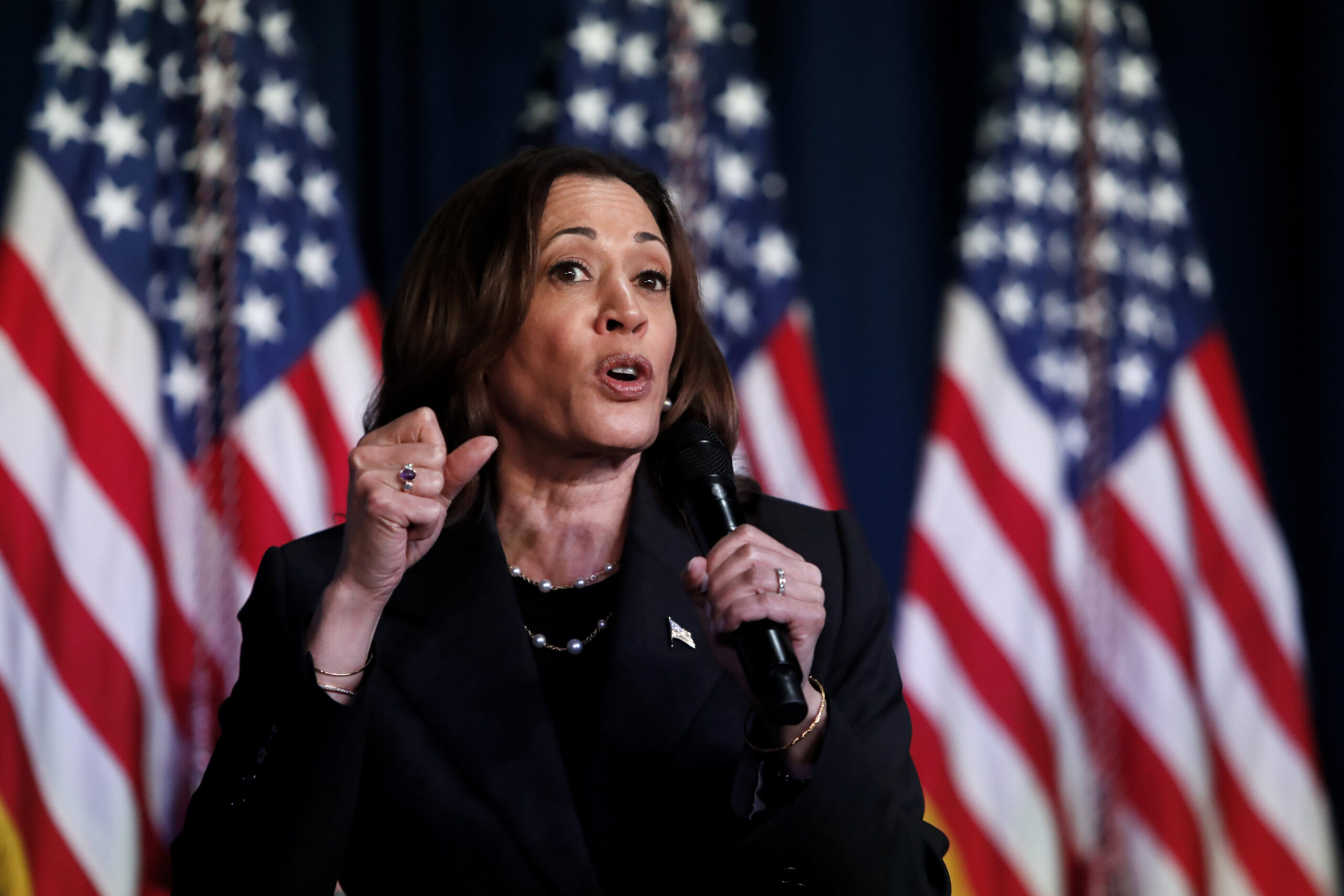 Ex-Trump White House officials, dozens of Republicans endorse Harris