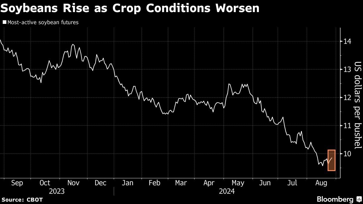 Grains Futures Climb as Weather Brings Worsening Crop Conditions