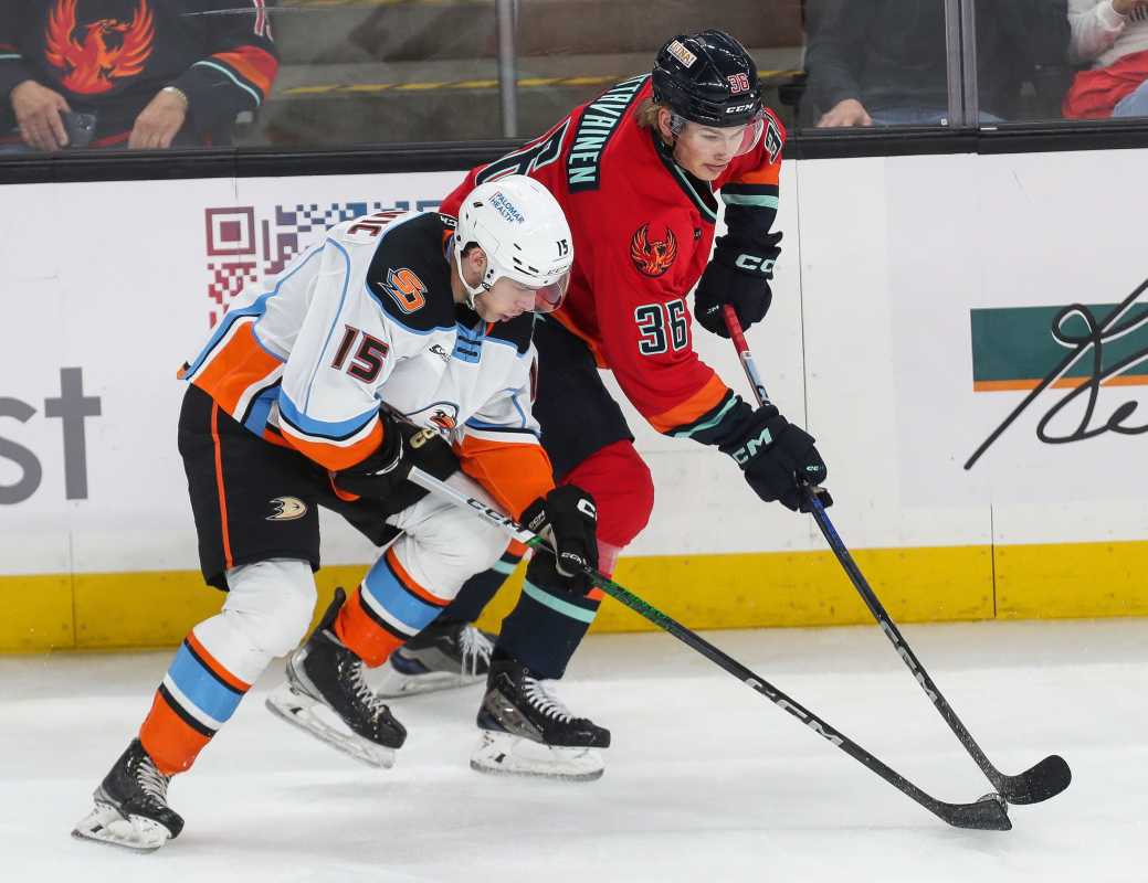 SOFLO hockey summer league populated by Ducks