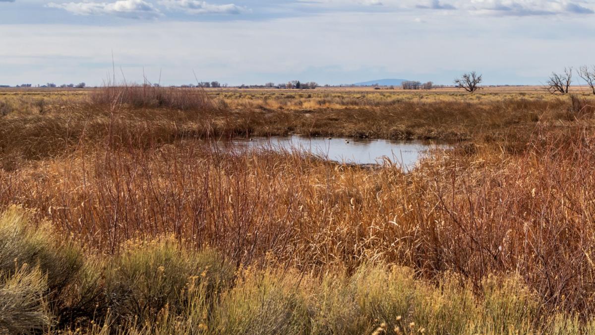 State sets new precedent with law to protect vulnerable landscapes: ‘Failing to restore protections … would have been a death sentence’