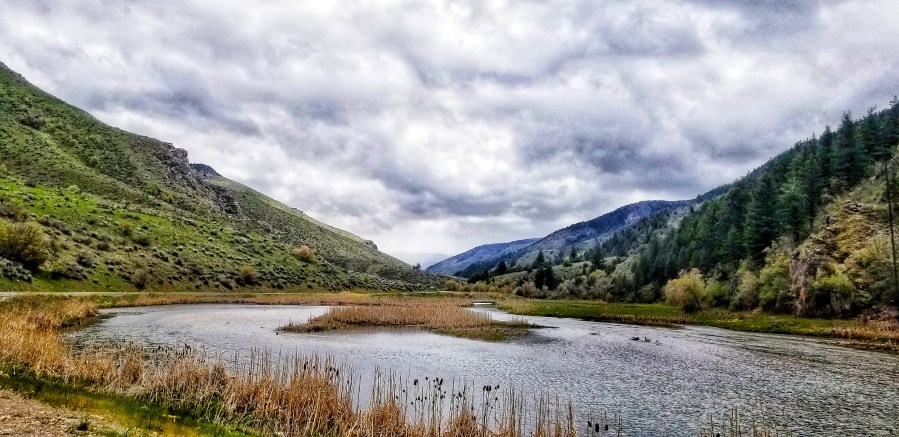 Too many fish? Utah DWR calling on anglers to step up their game on 4 waterways