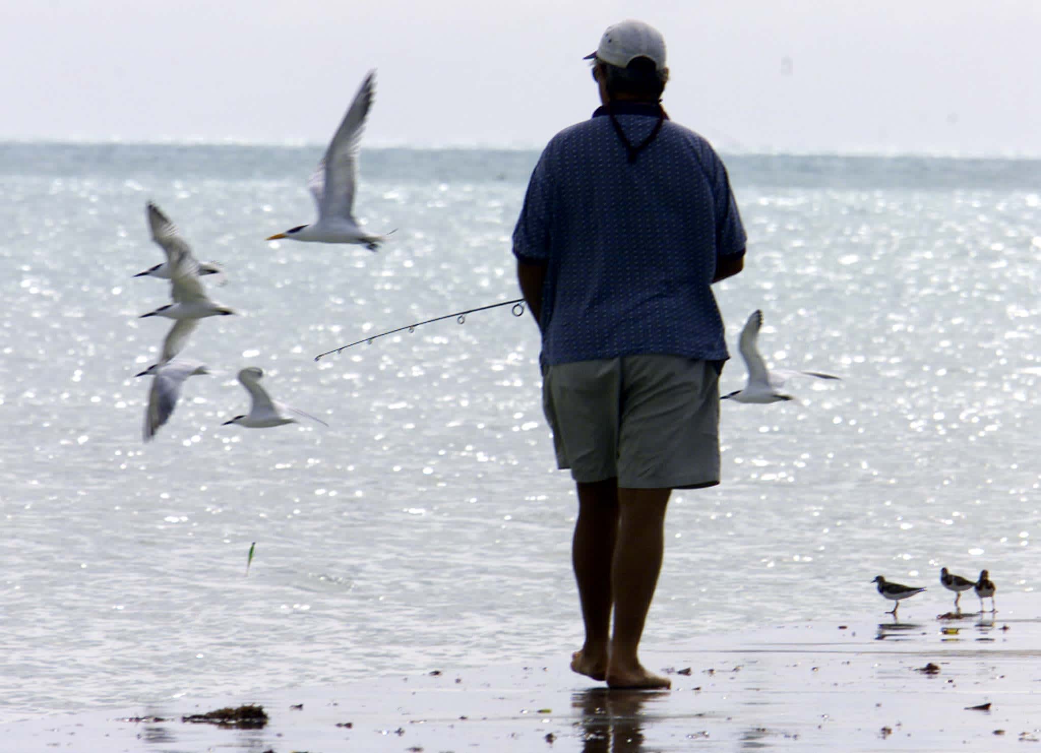 Tropical Storm Debby moving through Gulf toward Florida