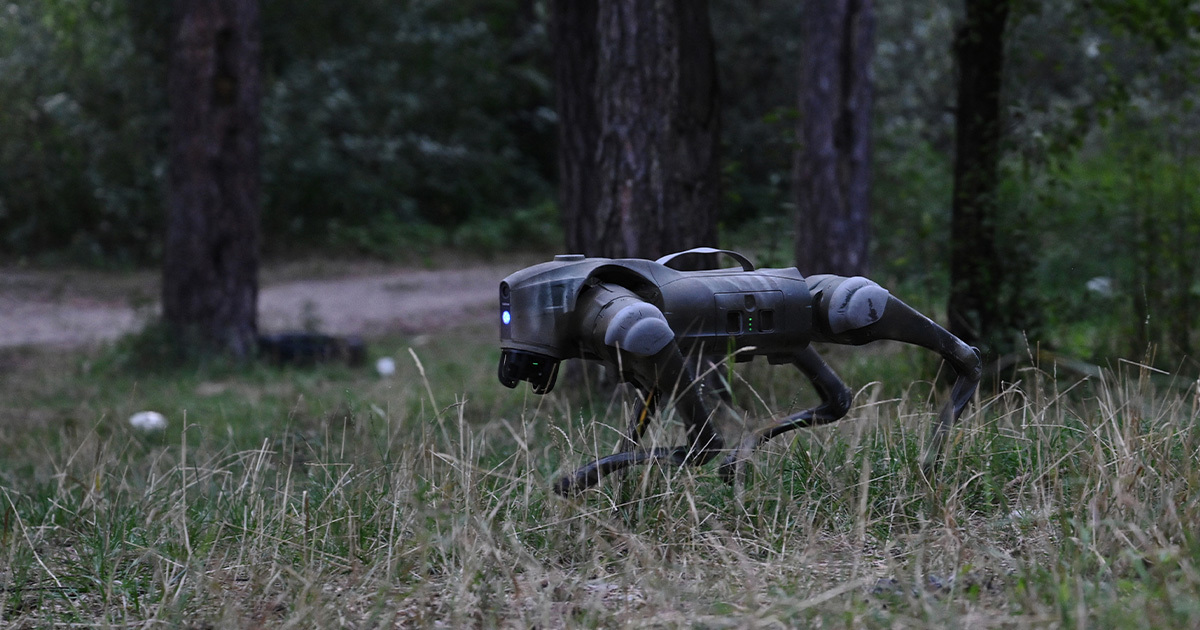 Ukraine Is Getting Ready to Unleash a Swarm of Robot Dogs