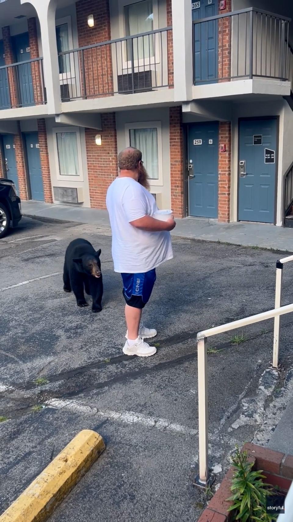 Watch: Gatlinburg video shows bear approaching man in hotel parking lot. ‘You better move’